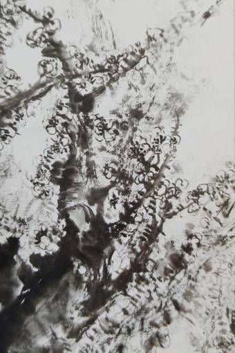 徐连民书法作品鉴赏 - 第六期